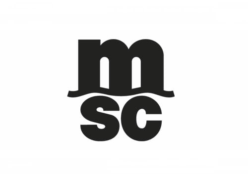 MSC | Caso de traducción de éxito